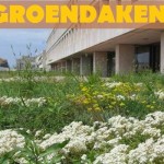 GROENDAKEN